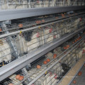 Jinfeng Broiler Farm Cage для мяса